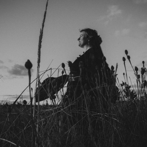 Jessie Harrold