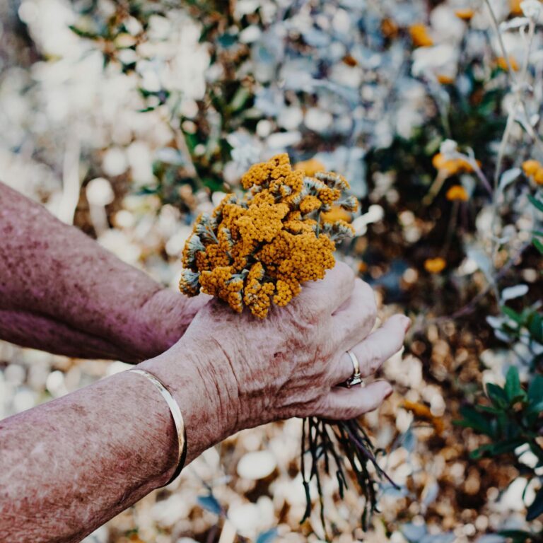 sincerely-media-m-igXXn2eIg-unsplash