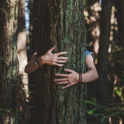 trent-haaland-yIsjn-IGWqc-unsplash